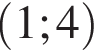 левая круглая скобка 1;4 правая круглая скобка